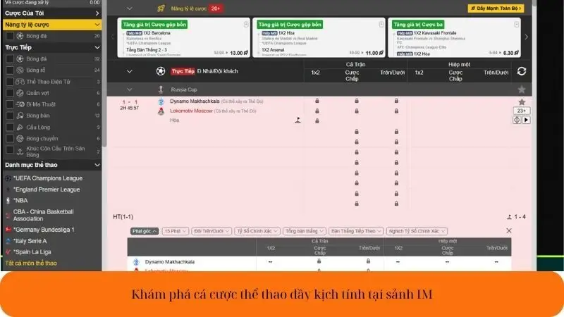 Khám phá cá cược thể thao đầy kịch tính tại sảnh IM