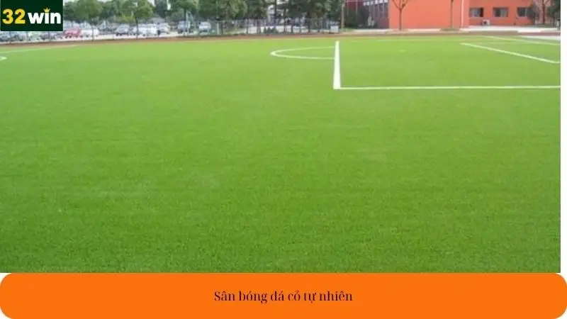 Sân bóng đá cỏ tự nhiên